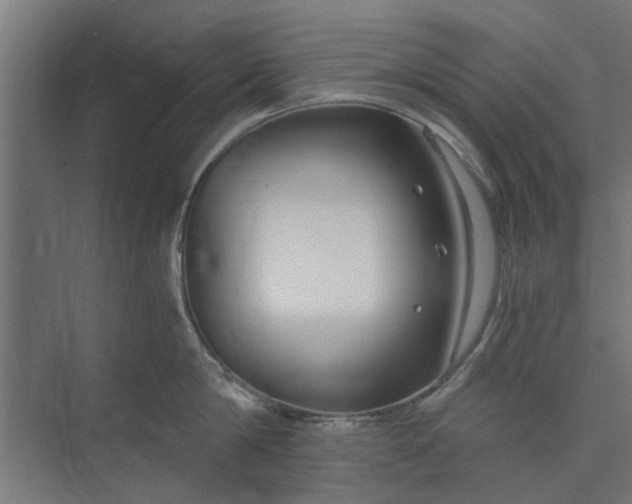 X0000073920814200608251548