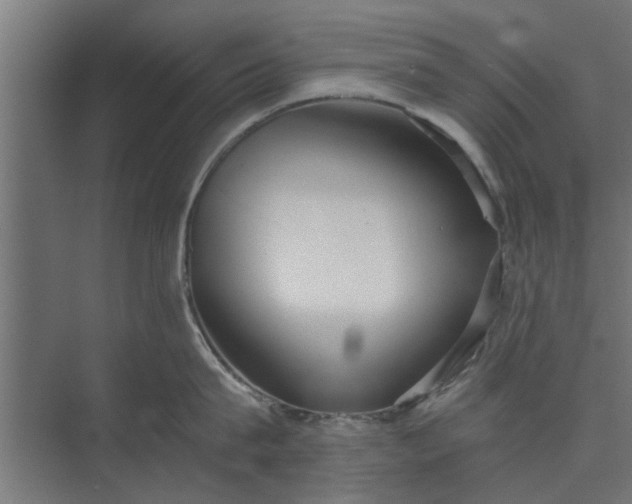 X0000073920815200608251548