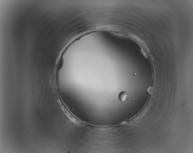 X0000073920816200608251548