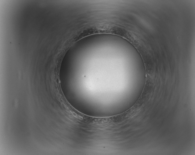 X0000073920817200608251547