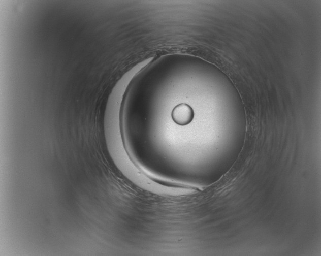 X0000073920818200608251547