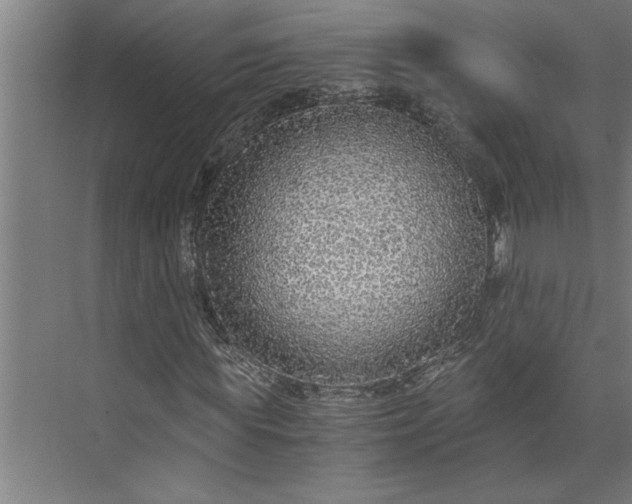 X0000073920819200608251547