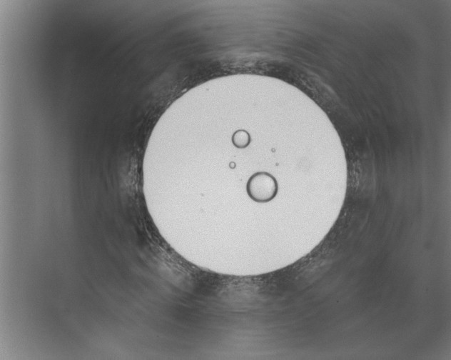 X0000073920820200608251547