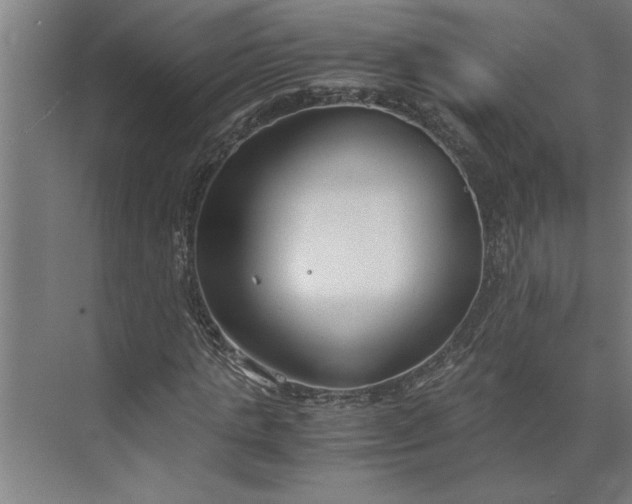 X0000073920821200608251547