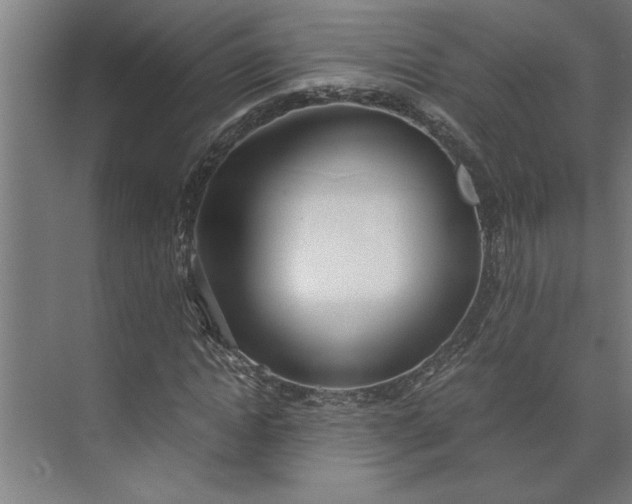 X0000073920822200608251547