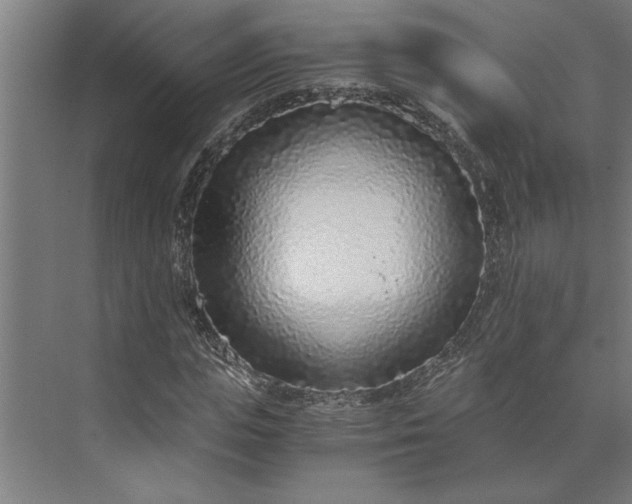 X0000073920823200608251547