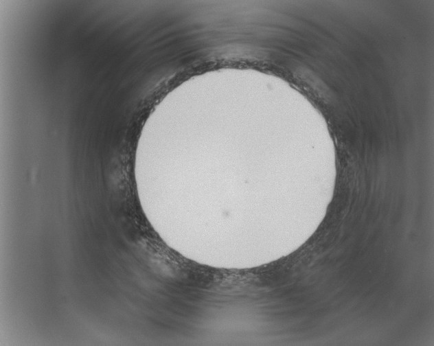 X0000073920824200608251547