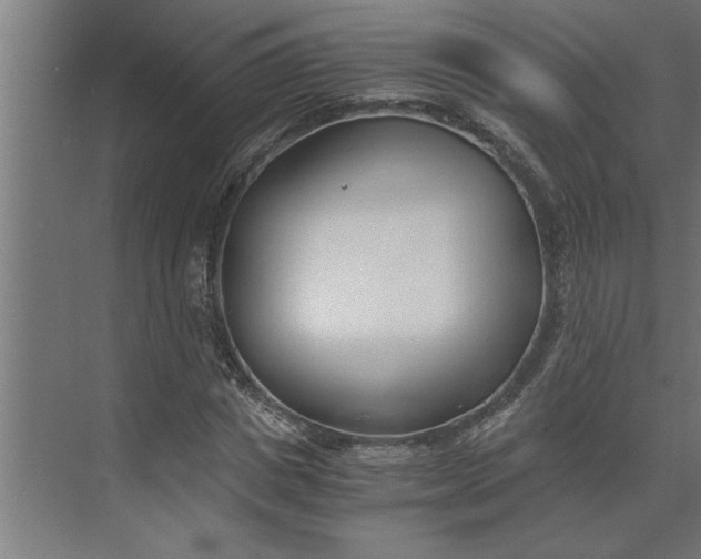 X0000073920825200608251547