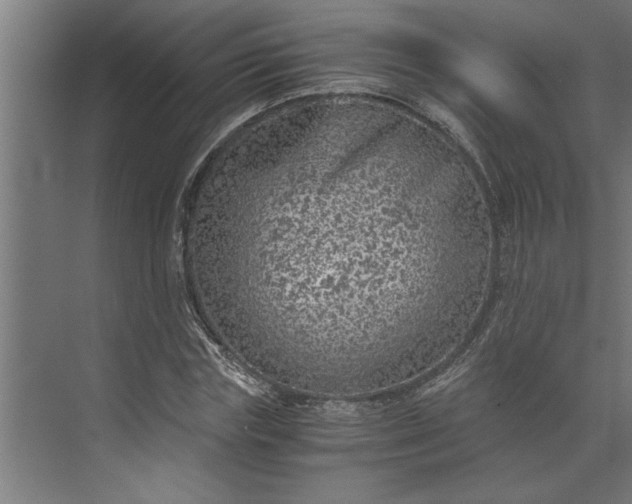 X0000073920827200608251547