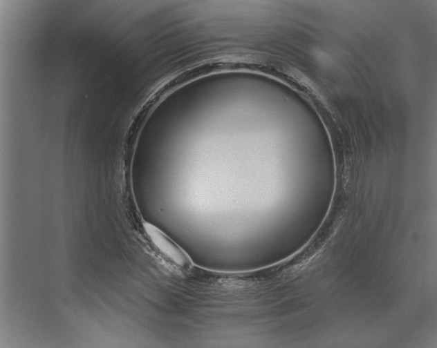 X0000073920829200608251547