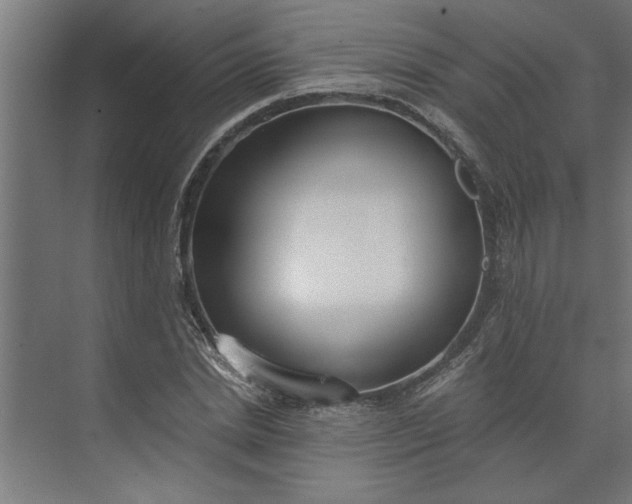 X0000073920830200608251547