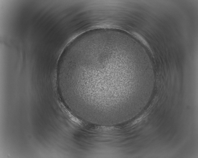 X0000073920831200608251547