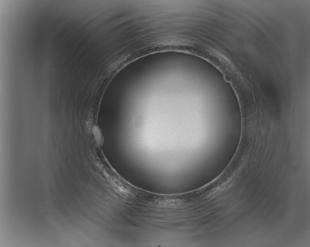 X0000073920833200608251547