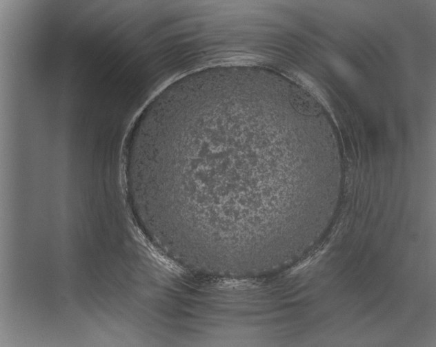 X0000073920835200608251547