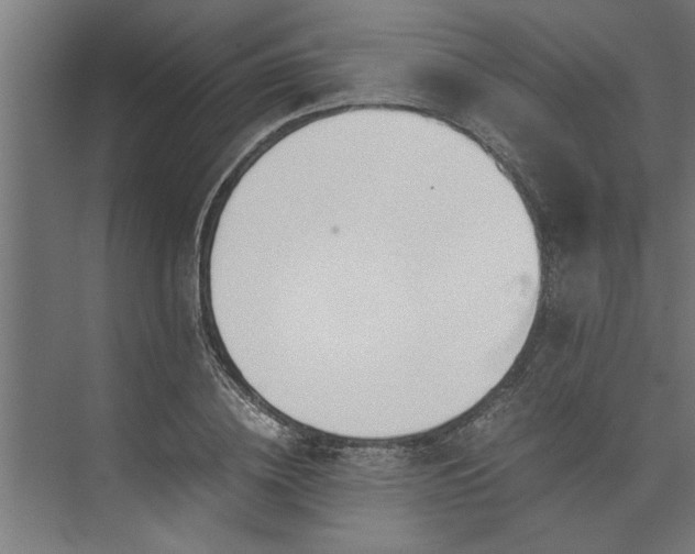 X0000073920836200608251547