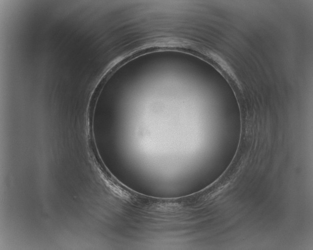 X0000073920837200608251547