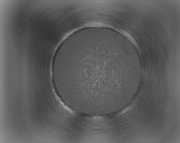 X0000073920839200608251547