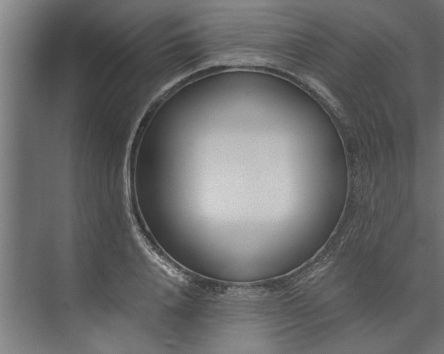 X0000073920840200608251547