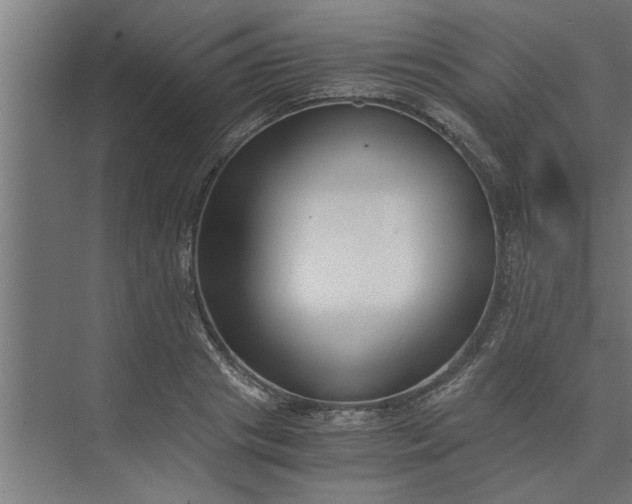 X0000073920841200608251547