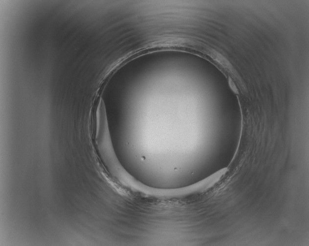 X0000073920842200608251547