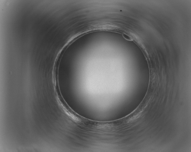 X0000073920843200608251547