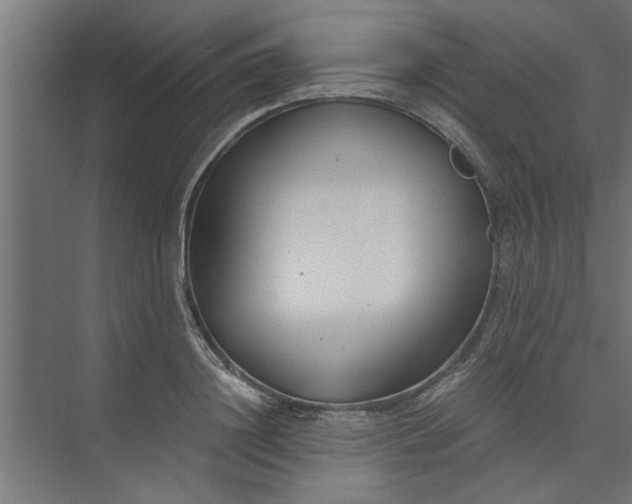 X0000073920844200608251547