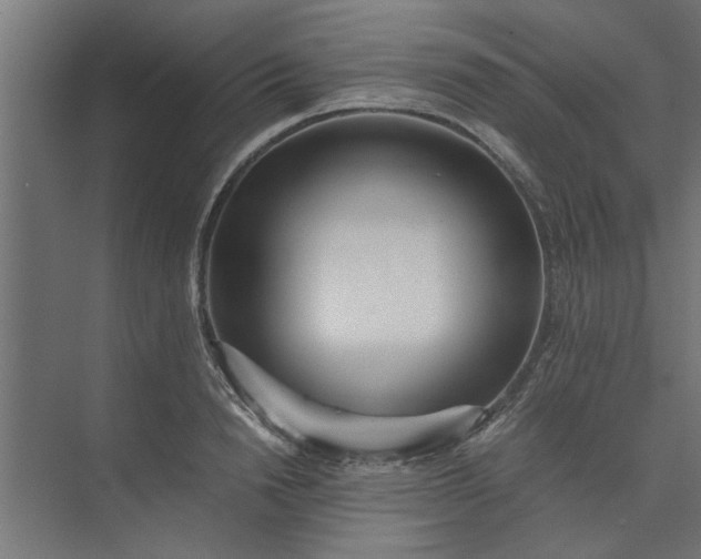 X0000073920846200608251547