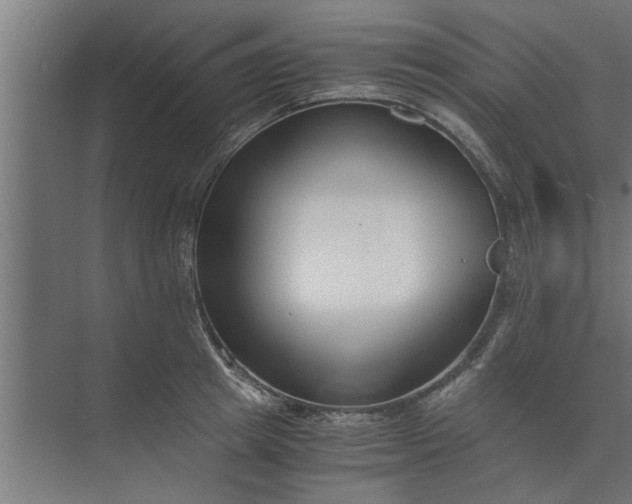 X0000073920849200608251547