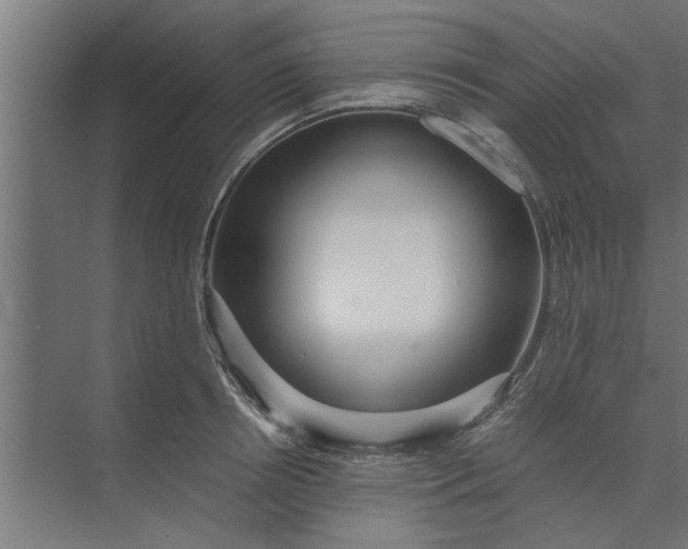 X0000073920850200608251547