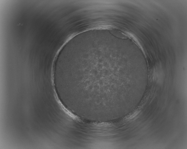 X0000073920851200608251547