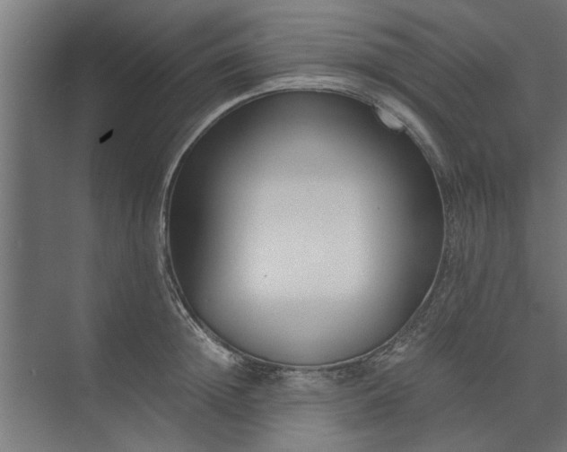 X0000073920852200608251547