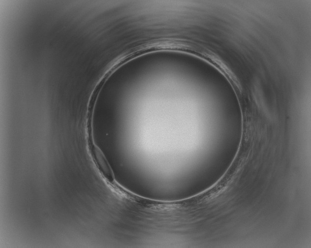 X0000073920853200608251547