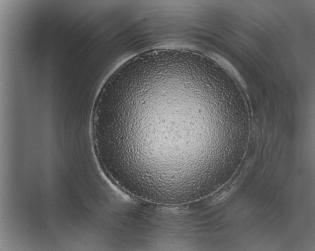 X0000073920855200608251547