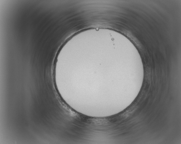 X0000073920856200608251547