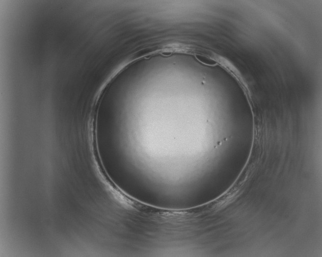 X0000073920859200608251547