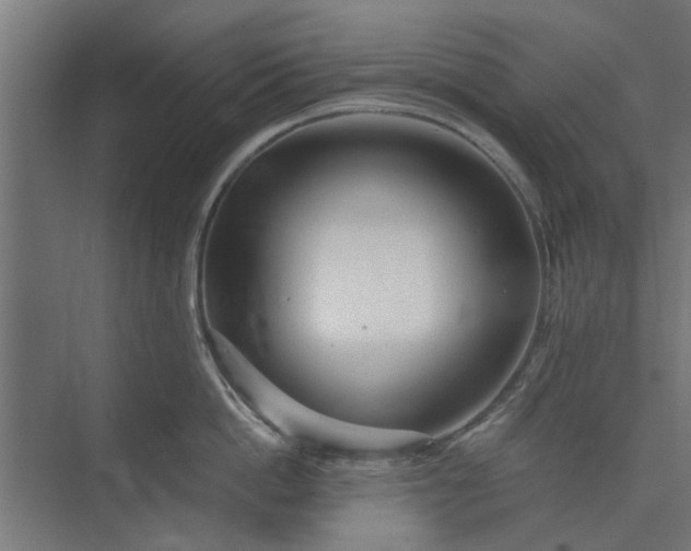 X0000073920862200608251547