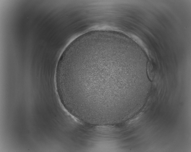 X0000073920863200608251547