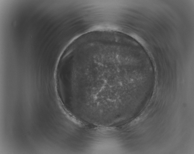 X0000073920864200608251547