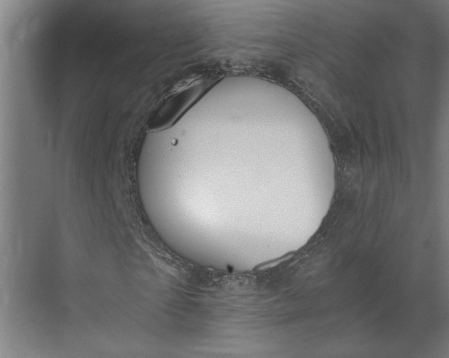 X0000073920865200608251547