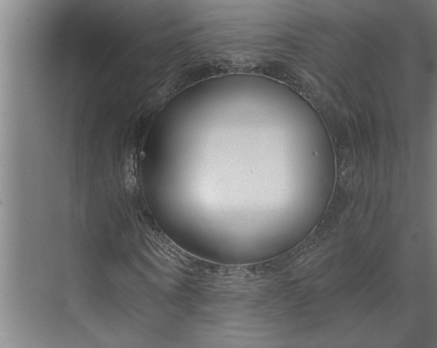 X0000073920866200608251547