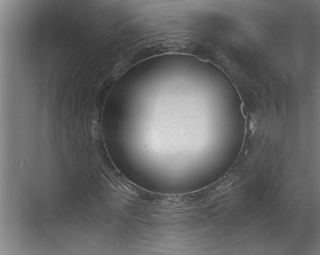 X0000073920867200608251547