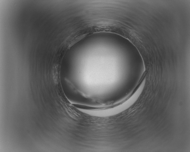 X0000073920868200608251547