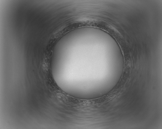 X0000073920869200608251547