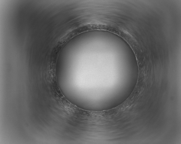 X0000073920870200608251547