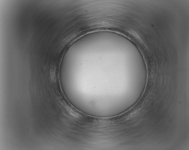 X0000073920873200608251547