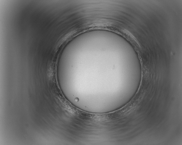 X0000073920874200608251547