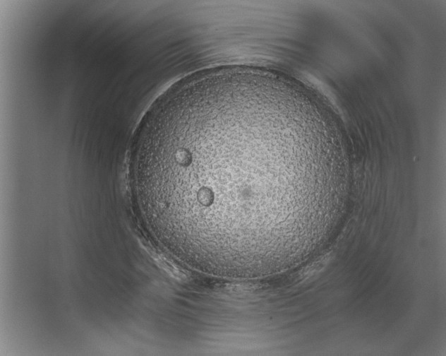 X0000073920875200608251547