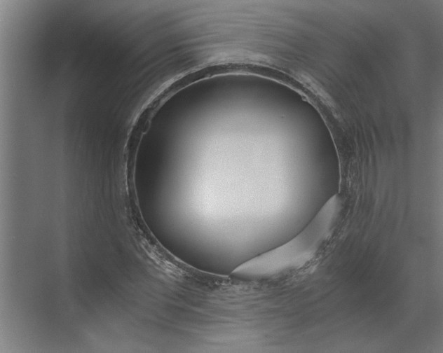 X0000073920877200608251546