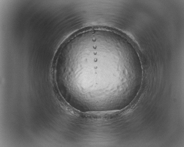 X0000073920879200608251546