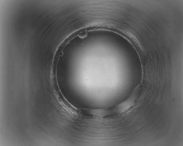 X0000073920880200608251546